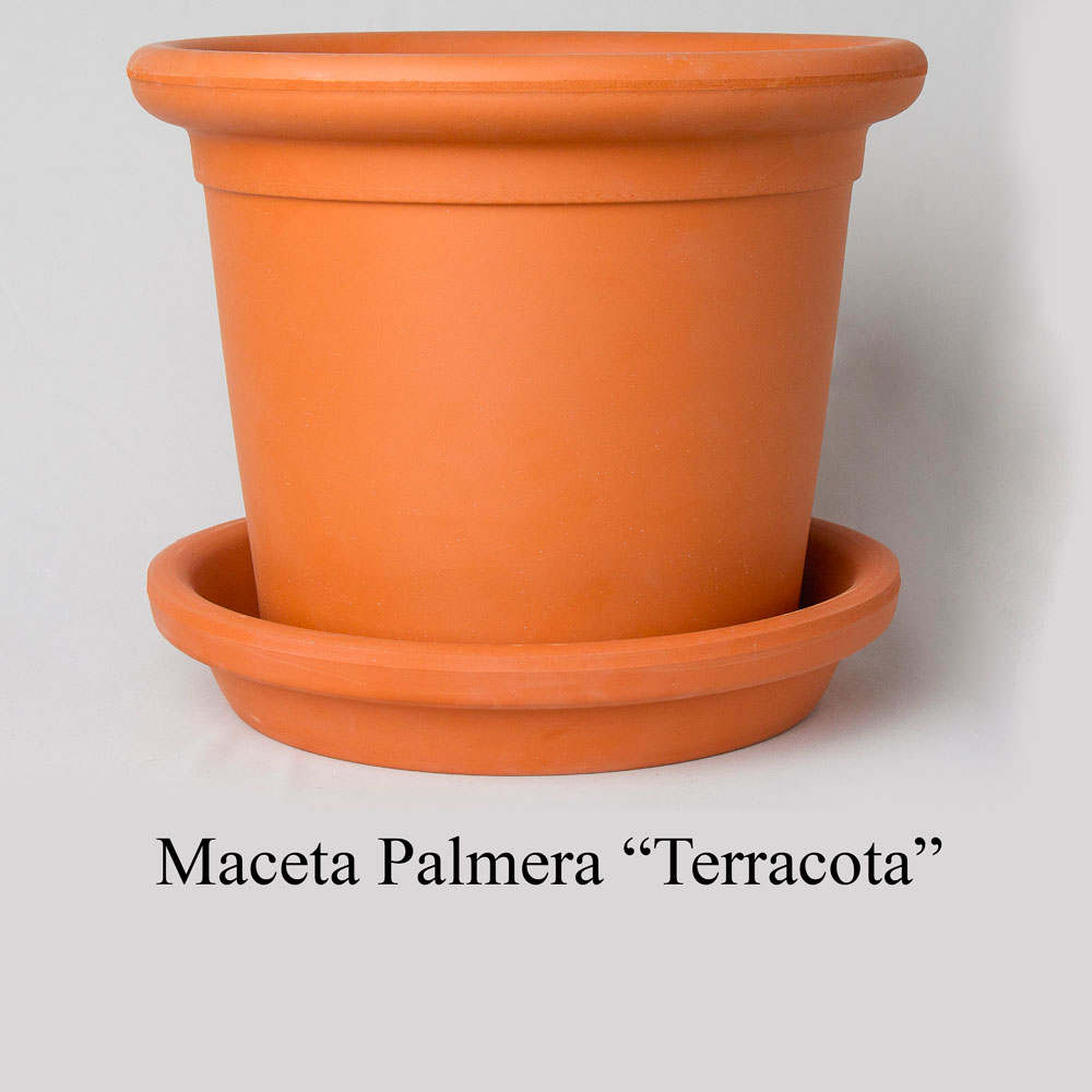Maceta Palmera Terracota